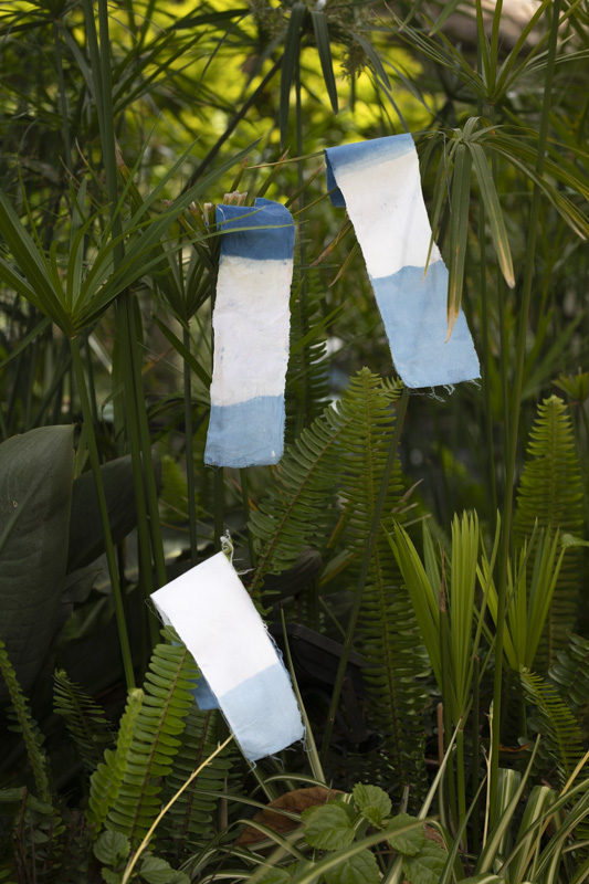 Los colores de la tierra: cuando la naturaleza se convierte en pigmento