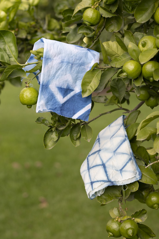 Los colores de la tierra: cuando la naturaleza se convierte en pigmento