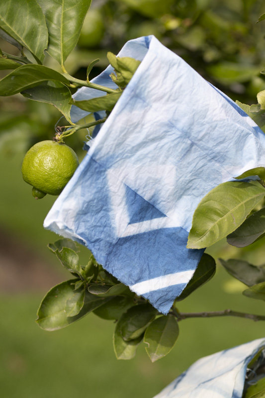 Los colores de la tierra: cuando la naturaleza se convierte en pigmento